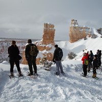 A group of people in snowshoes stand on the rim of a limestone spire-lined canyon