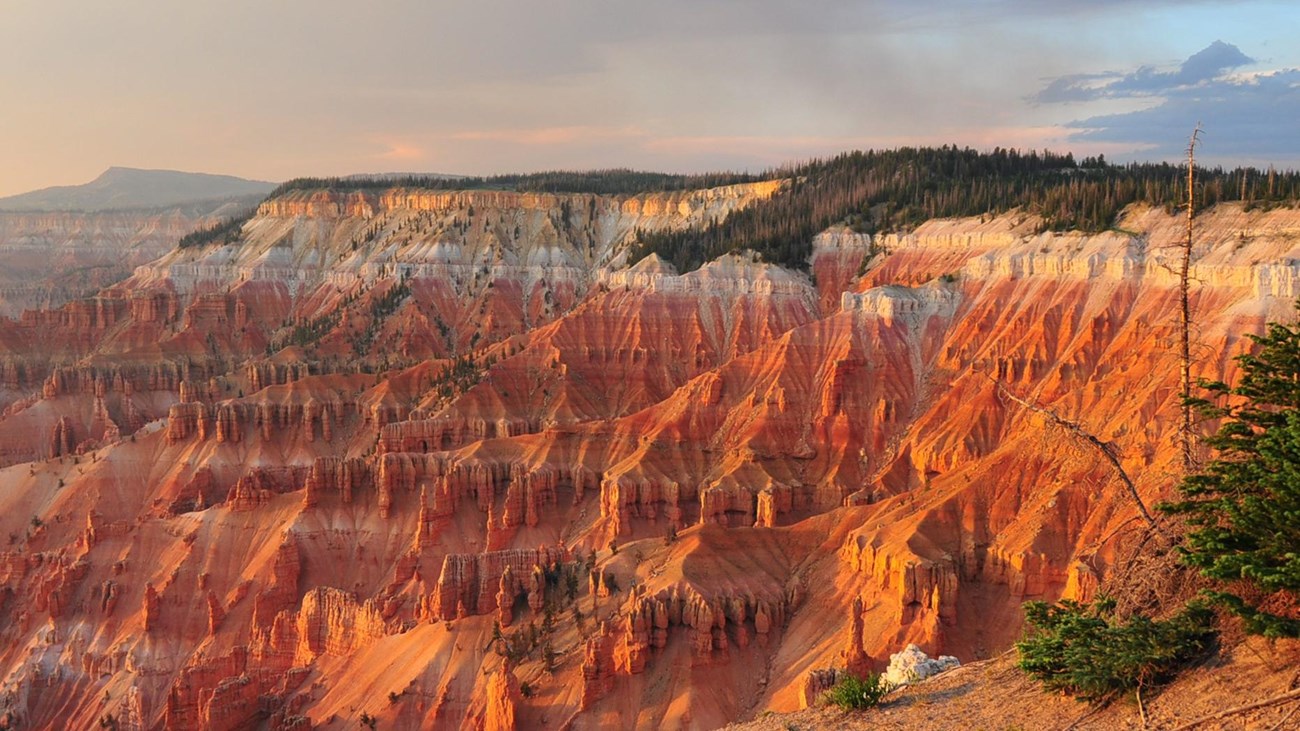 The 2024 Visitor Guide is available to help plan your trip to Cedar Breaks this summer