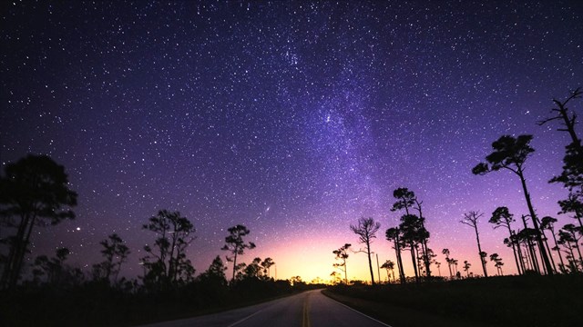 A road with tall trees on either side under a starry night sky. A bright glow is in the distance.