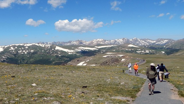 Visitors are Walking on the Tundra Communities Trail in summer. Alpine tundra flowers are in bloom.