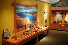Visitor Center display, which includes rocks, plants, and artifacts in front of an image of the wetlands near Tule Lake