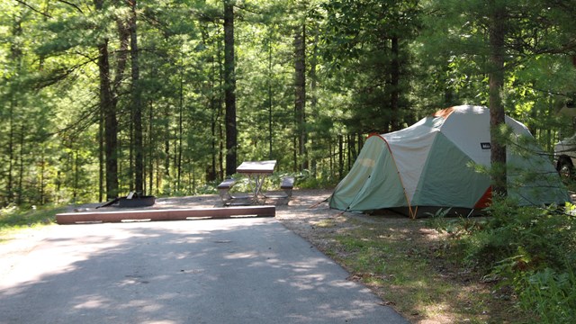A green and gray tent sits in the woods behind a paved parking space.