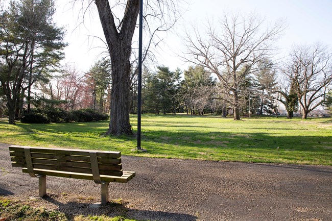 A wooden bench along an unpaved path faces an open area of short green turf, tall leafless trees, and some shrubs.