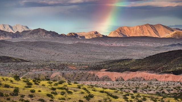 Rainbow over a dunes and grasslands