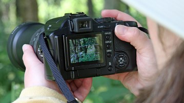 Close-up of woman looking through a camera viewfinder at woods