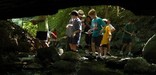 Junior Rangers