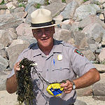 Ranger Program - Beach