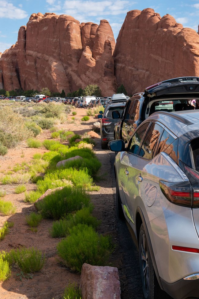Cars line the roadway at the Devils Garden Parking lot in Arches National Park on a clear, sunny day. In the background, orange and beige sandstone fins are visible.
