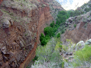 Lower Frijoles Canyon