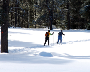 cross-country skiers