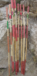 Boquillas walking sticks Boquillas walking sticks