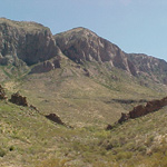 Ward Spring Ward Spring