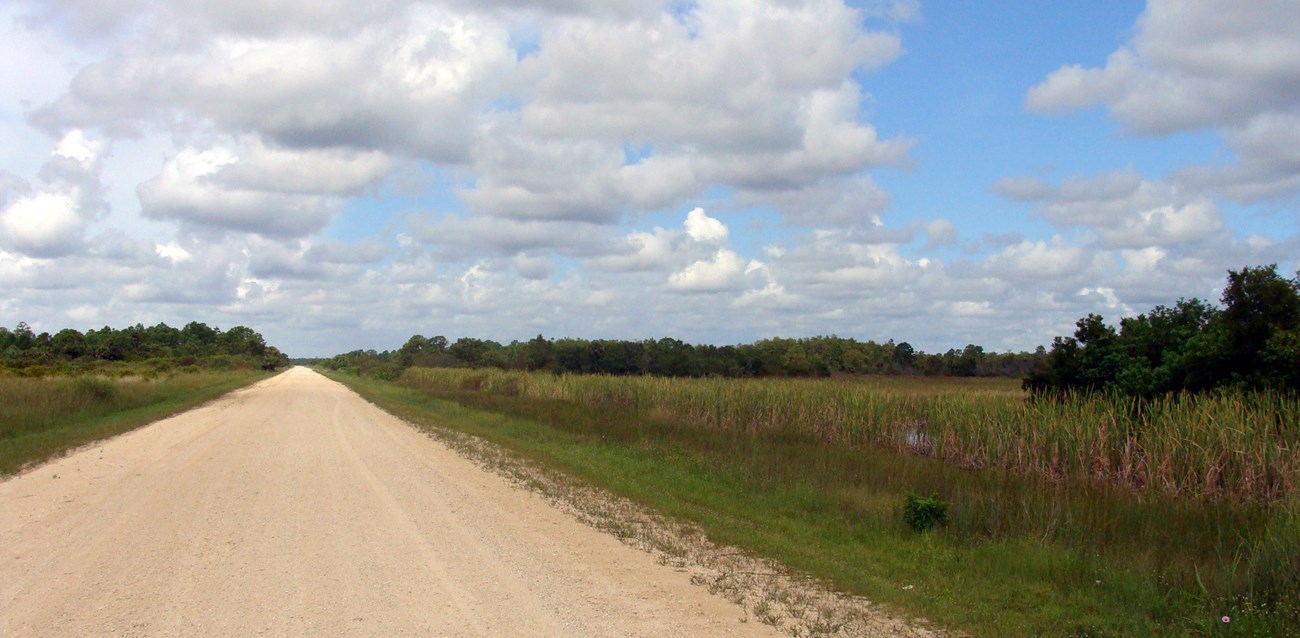 Birdon Road, a dirt road, stretches into the horizon past lush vegetation. Large clouds are in the sky.