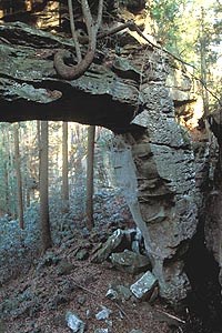 Split Bow Arch located in the Bear Creek Area of Kentucky.