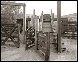 Livestock corrals at Cimarron.