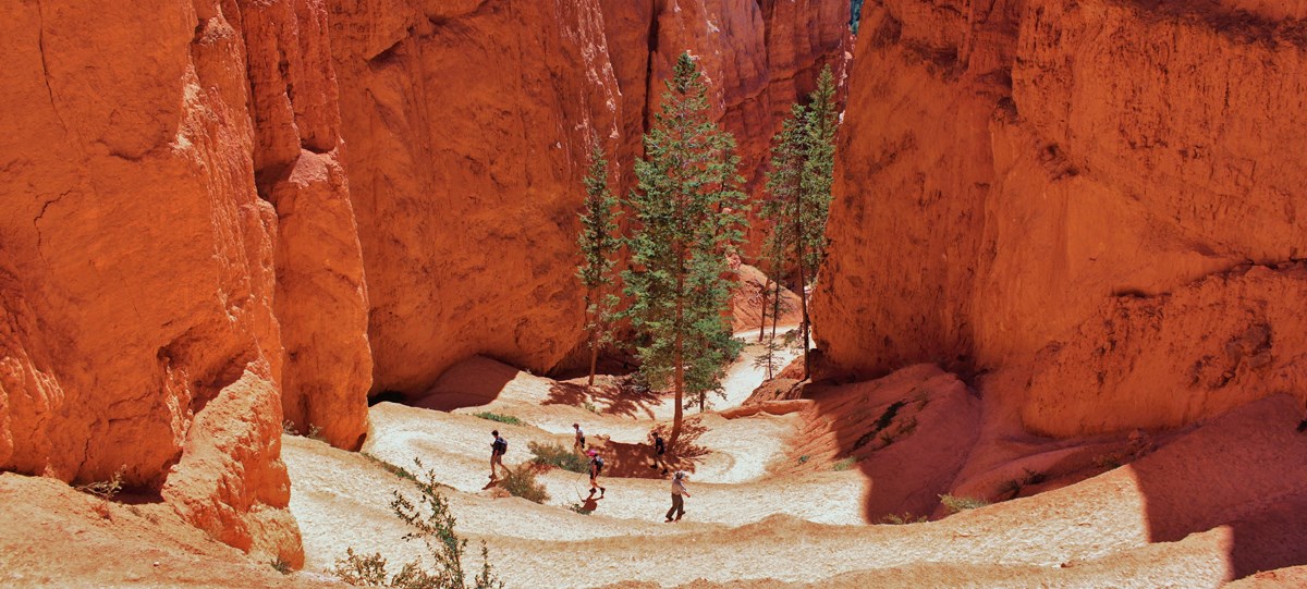 Hikers walk between red rock walls down a series of switchbacks