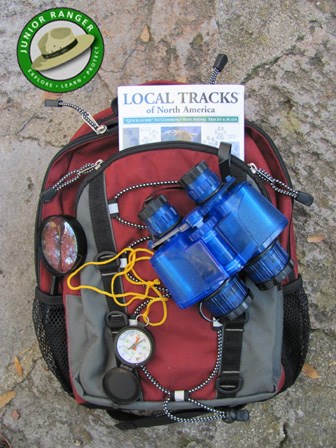Discovery Daypack