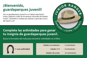 Junior Ranger Book Spanish Version