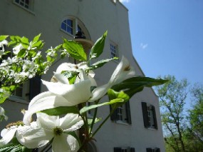 Photo of historic Great Falls Tavern Visitor Center with dogwood tree in bloom.