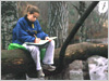 Student studying in a Vermont forest