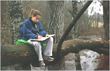 Student sitting on tree limb in a Vermont forest studying.