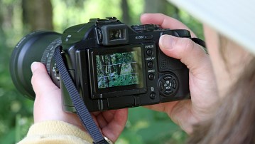 一名女子透过相机取景器在树林中观看的特写镜头