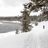 A lone skier makes their way along the Madison River on the Riverside Ski Trail.