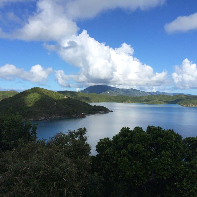Virgin Islands Coral Reef National Monument