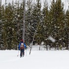 Skier crossing a meadow as snow falls.
