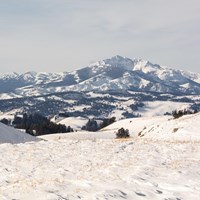A skier travels along a trail with a mountain peak in the distance.