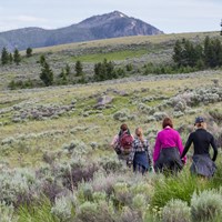 Hikers travel along a trail through the sagebrush with a mountain peak in the distance.
