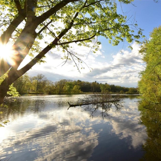 A scenic picture of the Nashua River. Photo courtesy Nashua River Watershed Association.