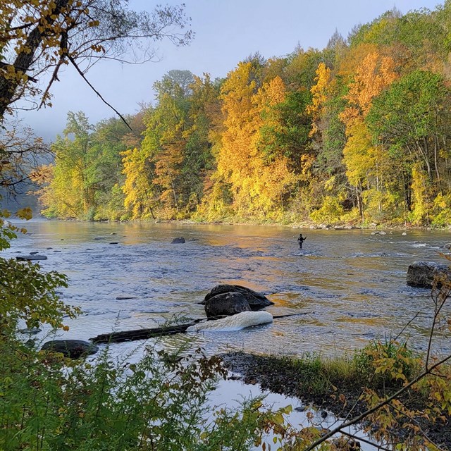 Looking across Housatonic River with trees on far side in early fall color