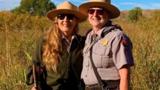 Programs and Demonstrations