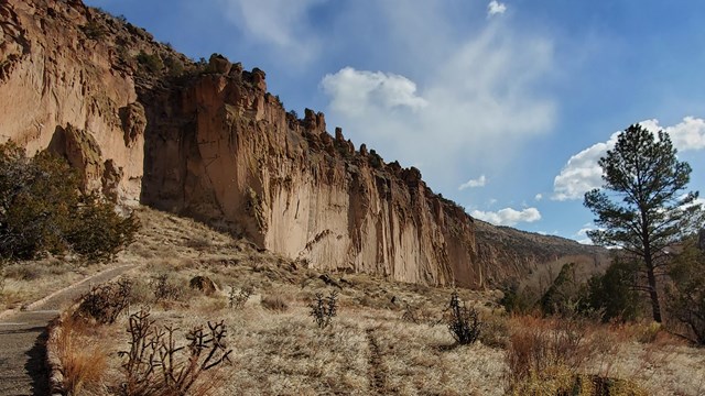 A pinkish brown cliff with a trail running along its base.