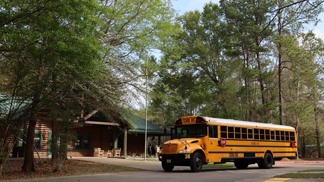 A big yellow school bus parked outside outside of the visitor center near flagpole and big trees.
