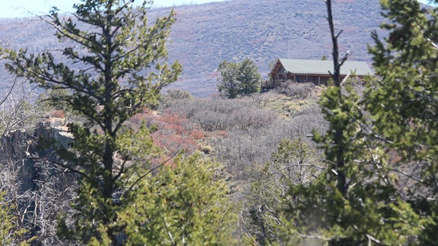 A log cabin style building with large windows is surrounded by conifer trees and snow