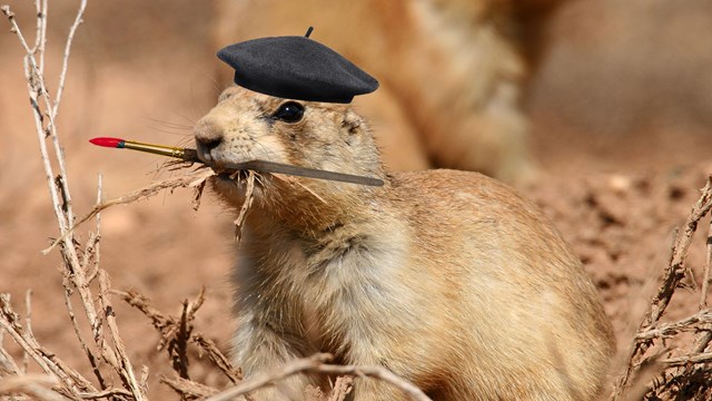 A prairie dog stands amongst red dirt with a paintbrush in its mouth and a hat on its head.
