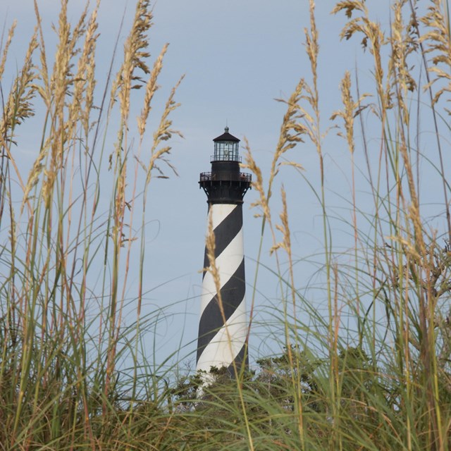 Cape Hatteras Lighthouse and Sea Oats