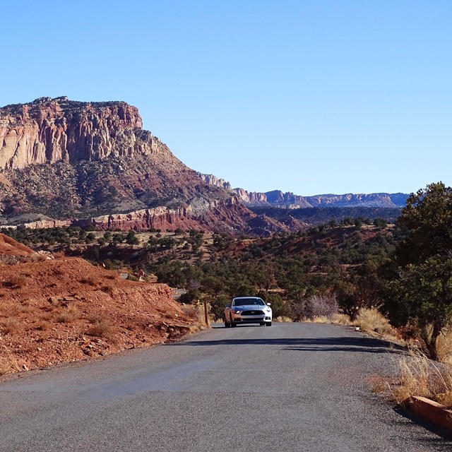 A car drives a narrow road with tall red cliffs rising on one side of the road.