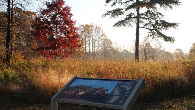 A wayside exhibit covered in morning dew with fall foliage and tall brown grass in the background