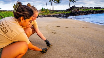 Pinnacles Overlook photo 4