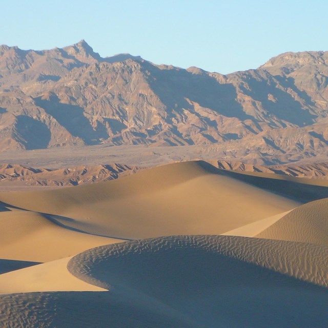 Rolling beige sand dunes are hit with sun from the left creating blue shadows on their right faces, 
