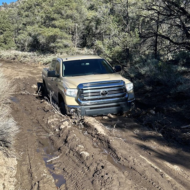 A large tan pickup truck is stuck in a muddy road lined with green trees and brush.