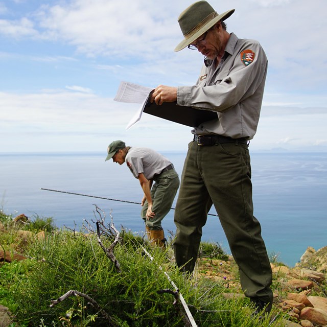 Scientists monitor native plant communities. 