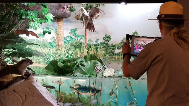 A ranger holds a tablet in front of a diorama of a nearshore lake scene with animals.