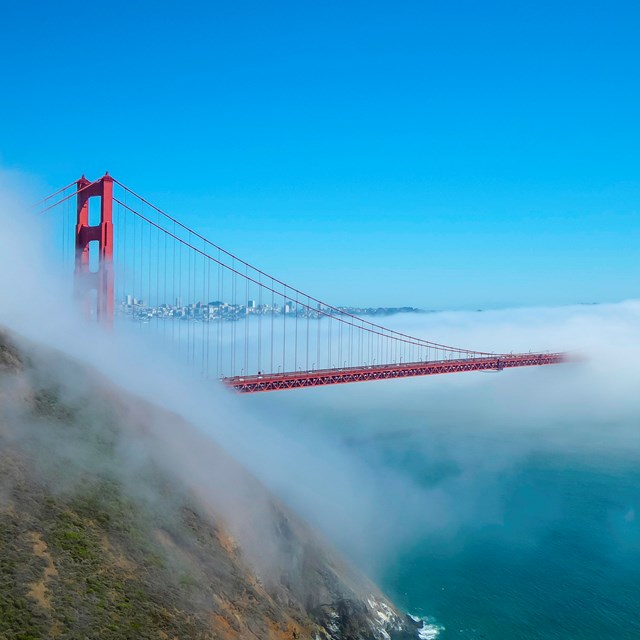 The golden gate bridge shrouded in fog, extending from behind a green cliffface.