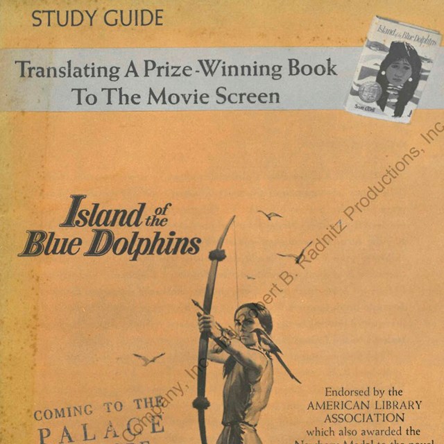 High school lesson plan on the film adaptation of the novel