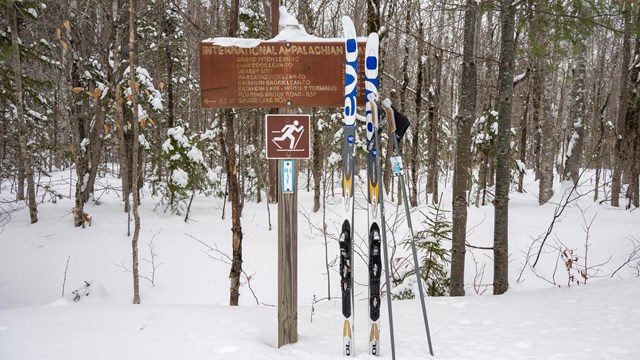 Cross country skis leaning on a wooden trail sign in a snowy forest.