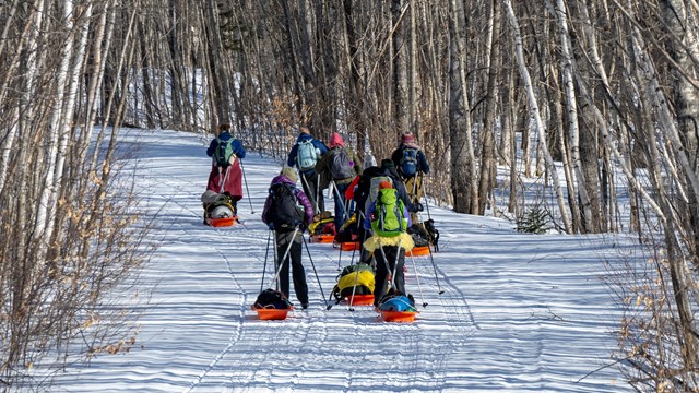A group of visitors traveling by cross country skiing, pulling a sled of gear.